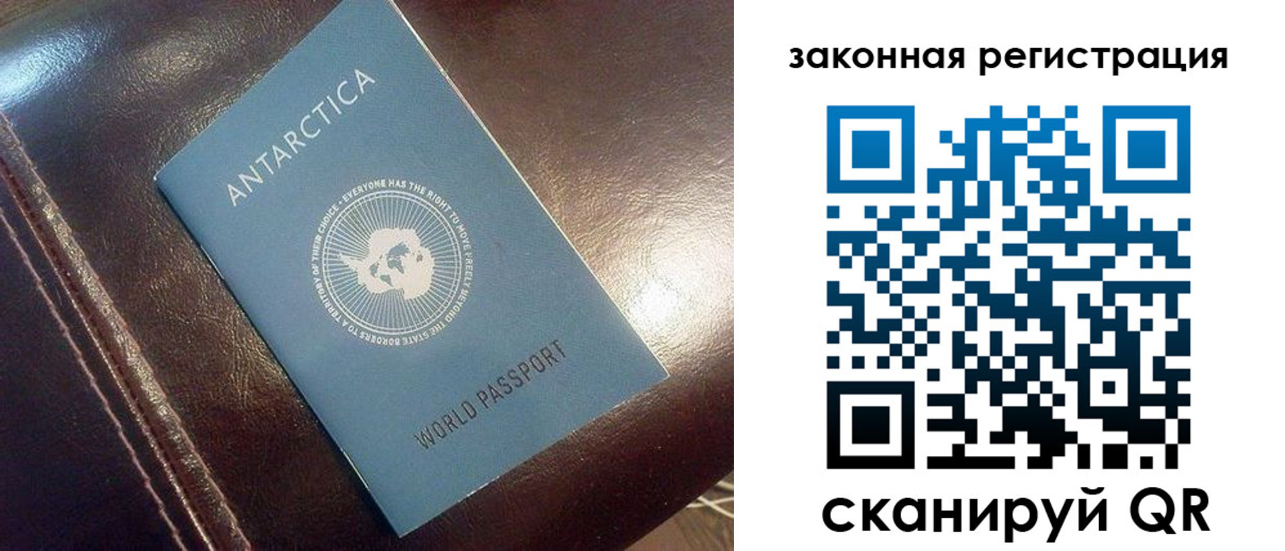 временная регистрация поиск в Копейске
